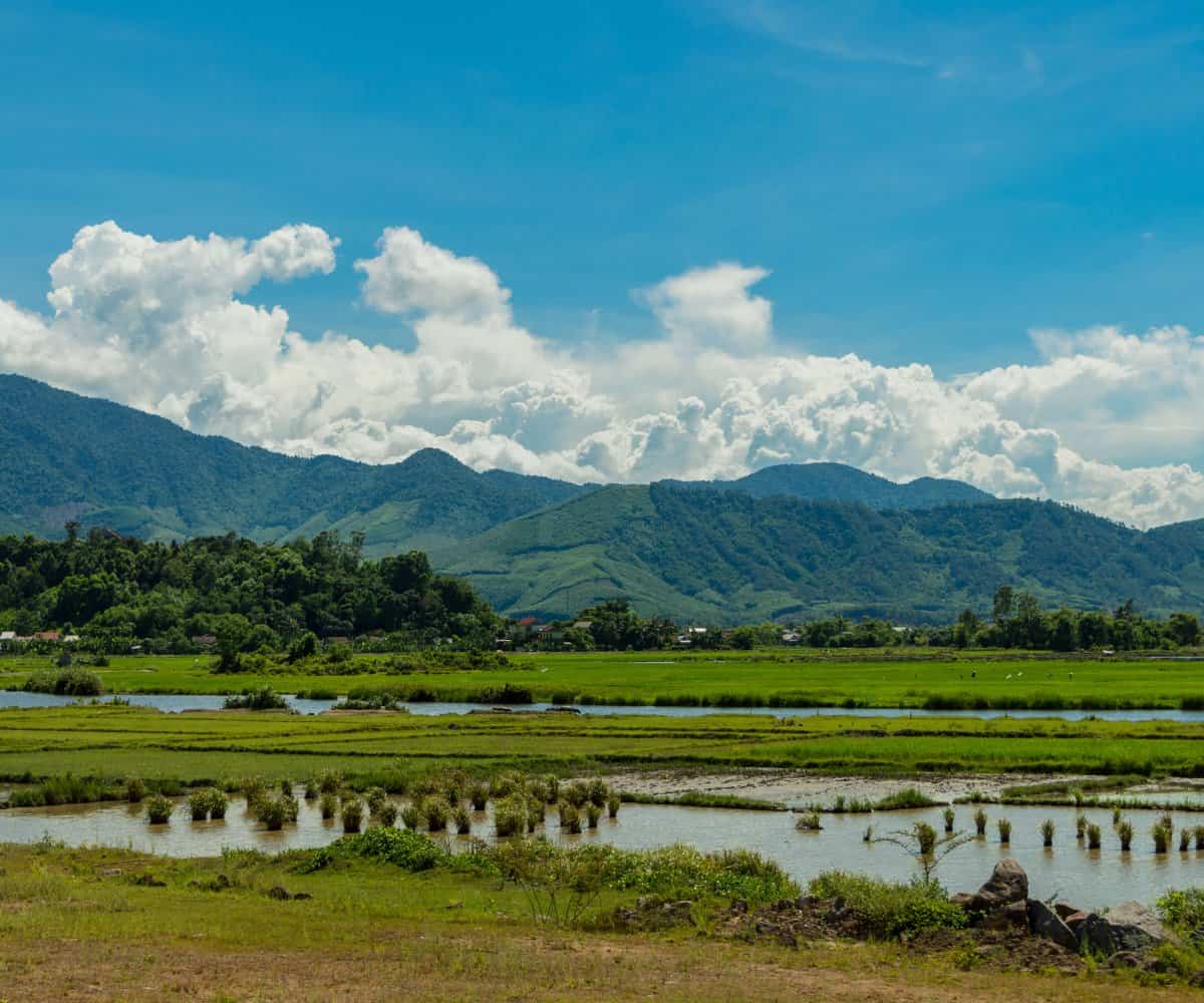 mountains and rice paddies along the Hai Van Pass, Vietnam.