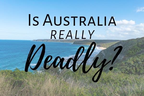 Is Australia dangerous? Here are some things to help travel Australia safely
