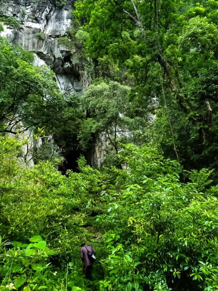 Phong Nha Ke Bang National Park has very thick jungle