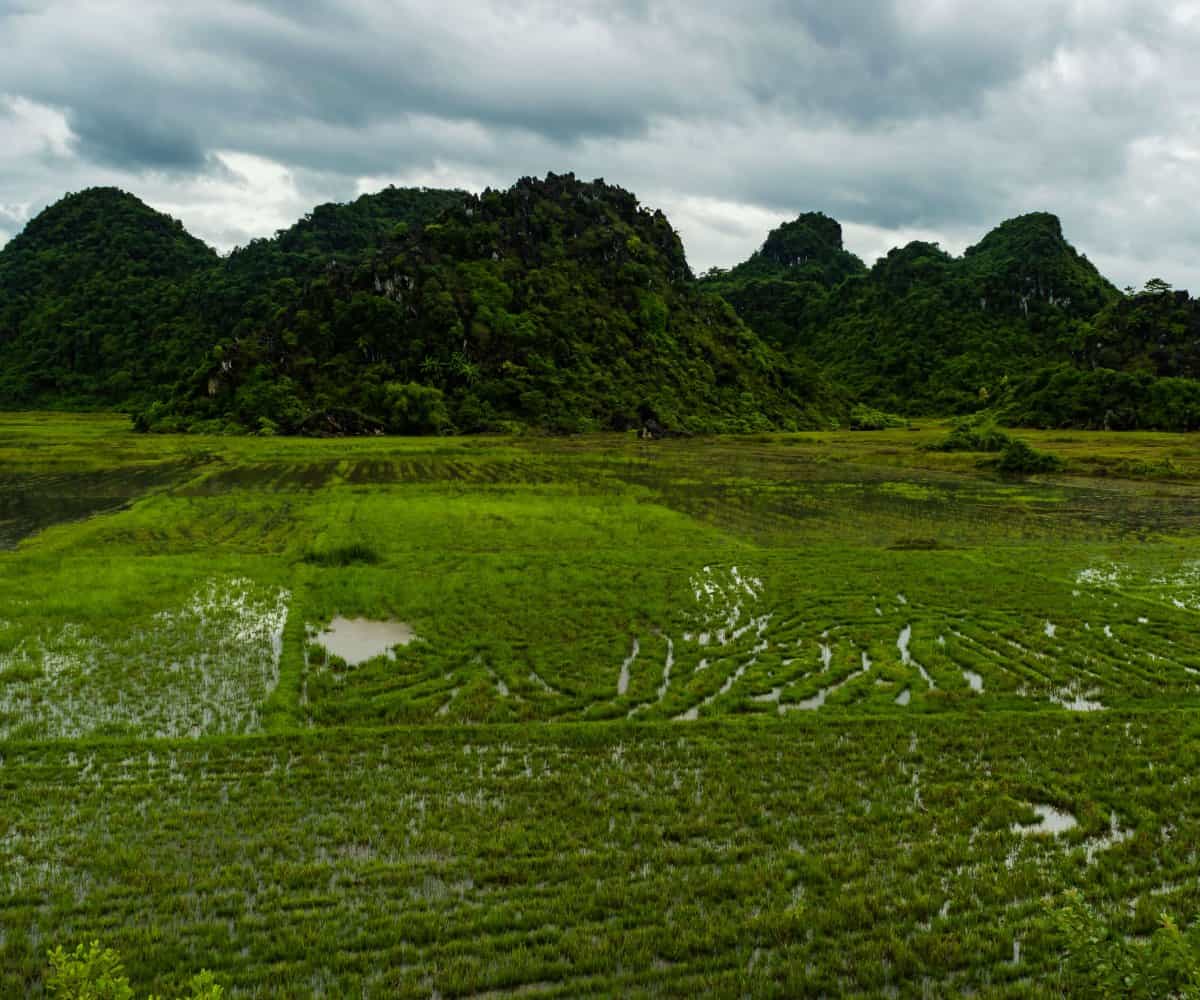 Just outside of the town of Phong Nha, Vietnam