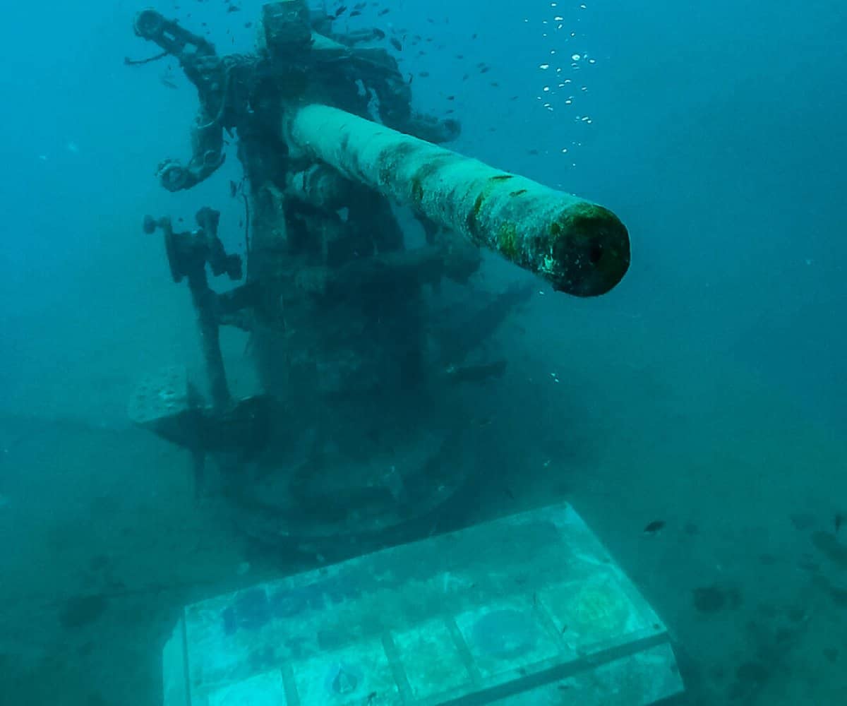 HTMS Sattakut cannon, Koh Tao diving, Thailand.