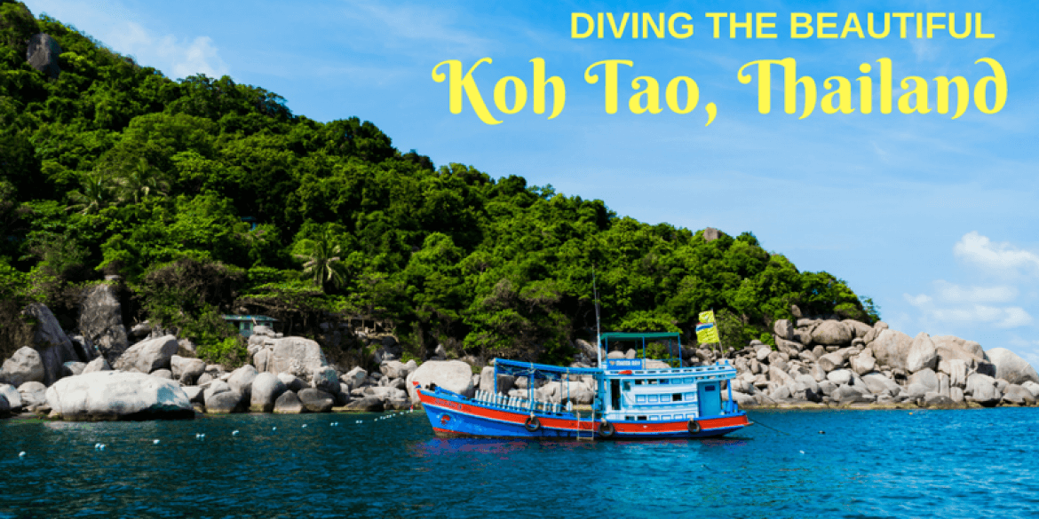 Koh Tao Diving, Thailand.