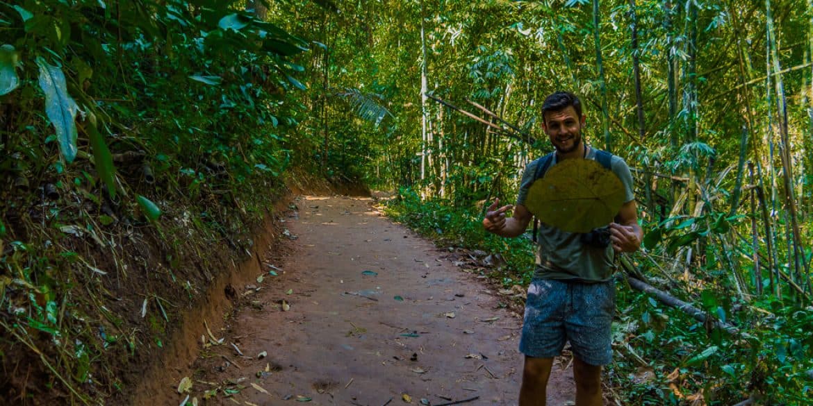 My mate Josh with the biggest leaf we have ever seen! Chiang Rai, Thailand