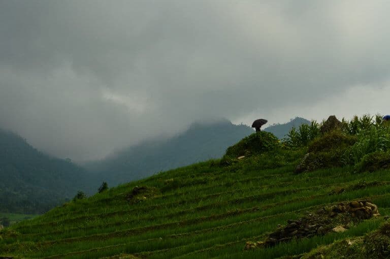 A local readies for the incoming storm with an umbrella, just outside of SaPa