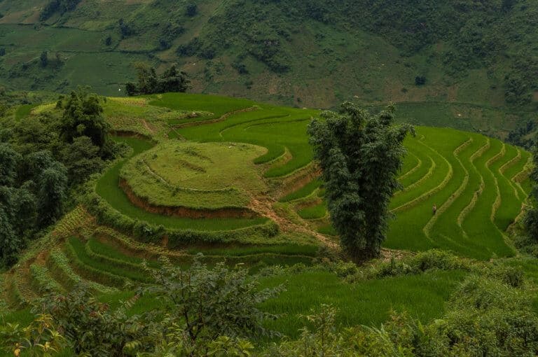 A natural hill is fully converted into rice terraces, near SaPa