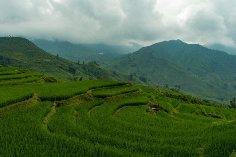 A view of the rolling green rice terraces of SaPa, Vietnam