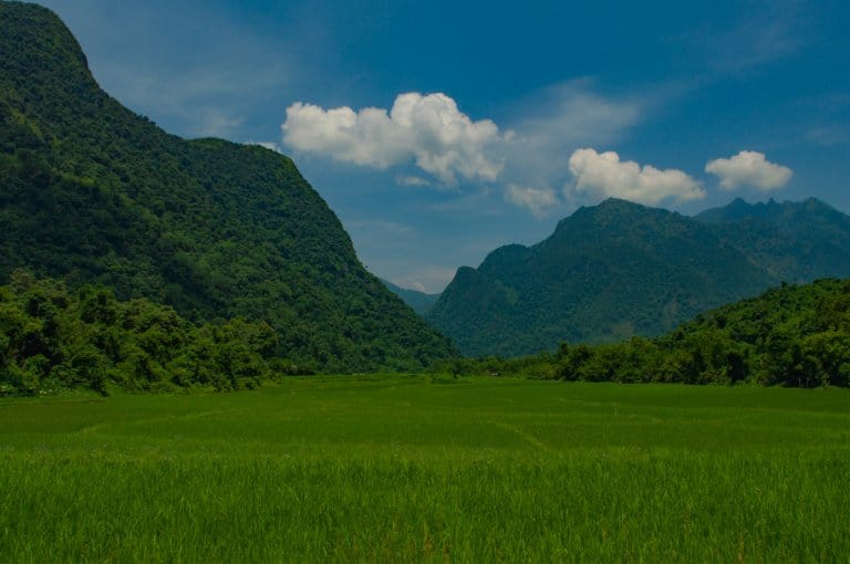 Hiking in Muang Ngoy through rice terraces