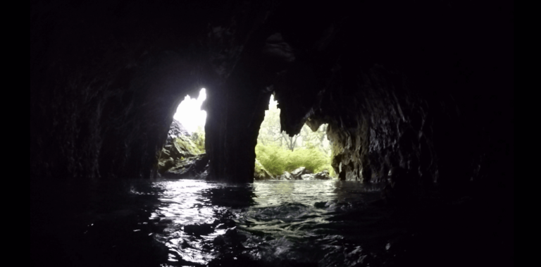Inside E-Cave, a highlight of my Phong Nha Trekking Tour
