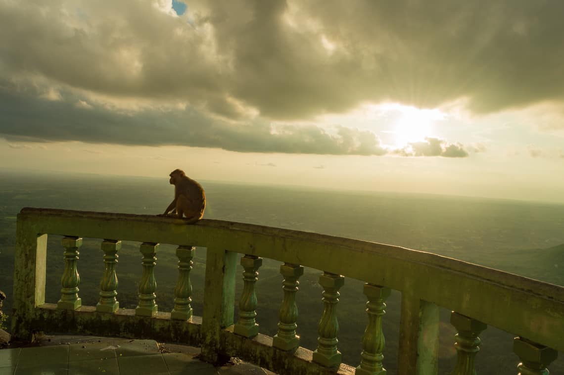 A monkey and a beautiful view from the summit of Mount Popa, Taung Kalat monastery, Myanmar
