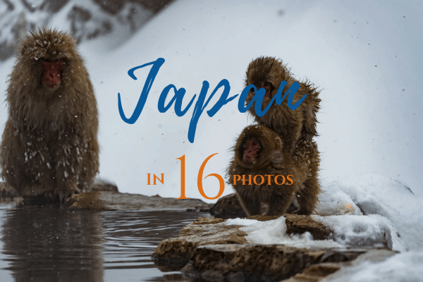 Travel through photography to Japan