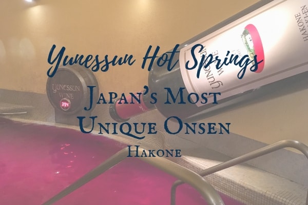 how-to-visit-yunessun-hots-spring-hakone
