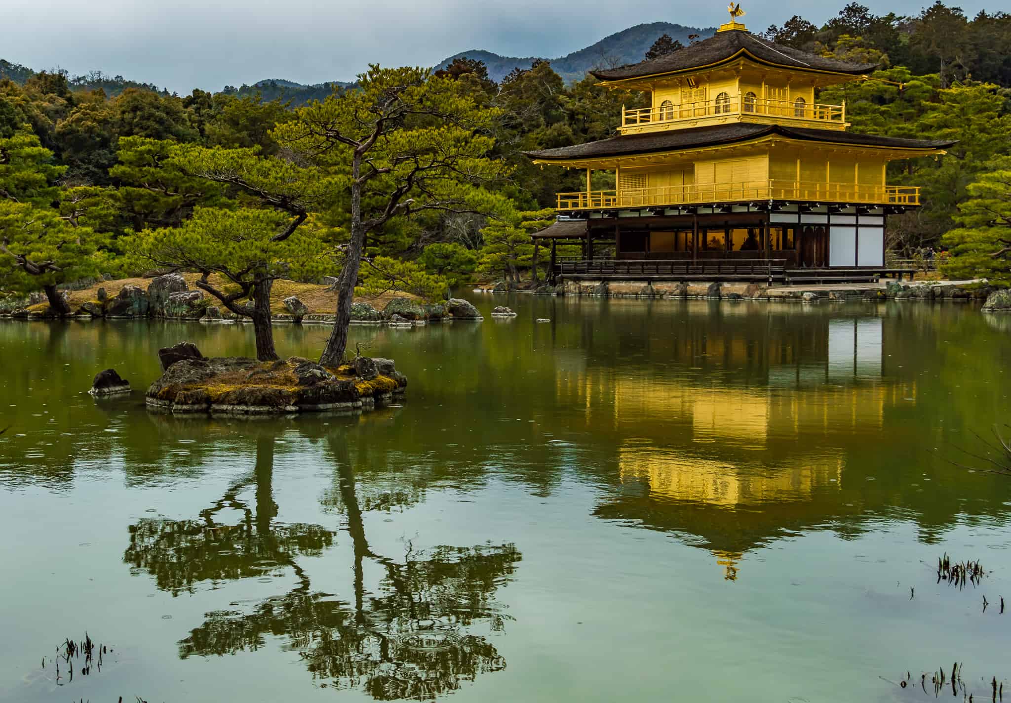 Viewing thegolden Kinkaku-ji Temple, Kyoto, Japan