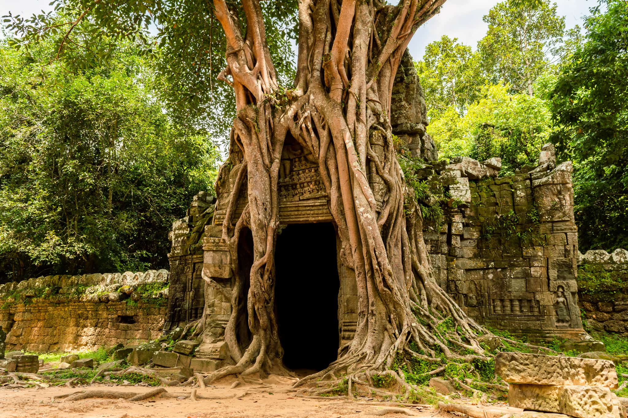 Many trees engulf ancient structures like this around Angkor Wat in Cambodia