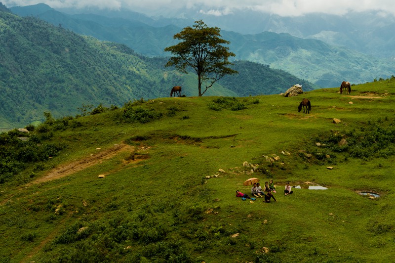 Any trek in SaPa is filled with beautiful views like this
