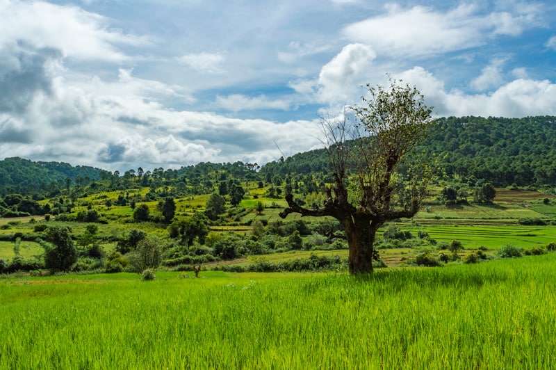 Beautiful views throughout the three day hike from Kalaw to Inle Lake, Myanmar