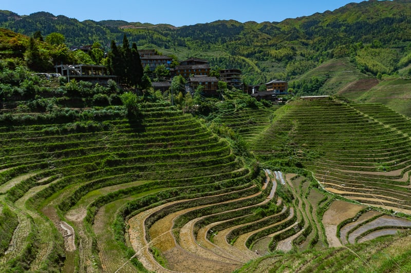 Cascading rice terraces can be seen in every direction