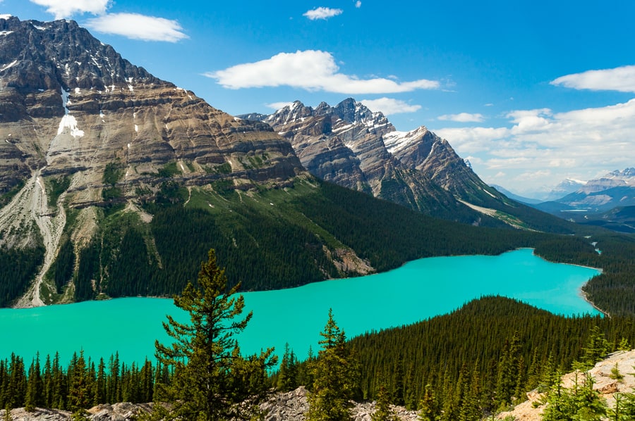 Peyto Lake is well known for resembling the shape of a wolf.
