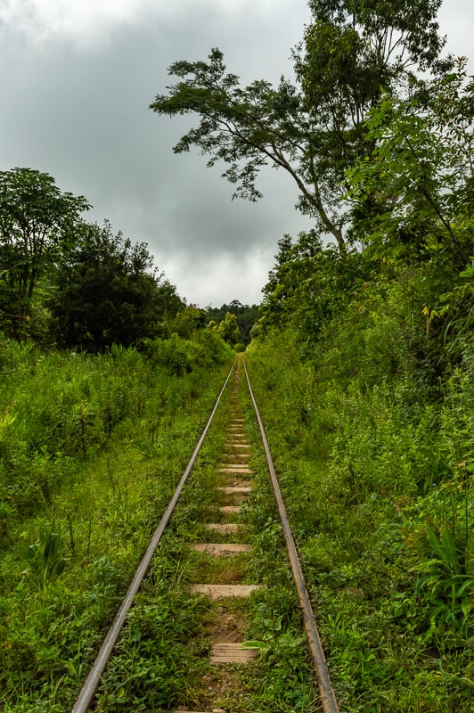 Overgrown train tracks trekking from Kalaw to Inle Lake, Myanmar