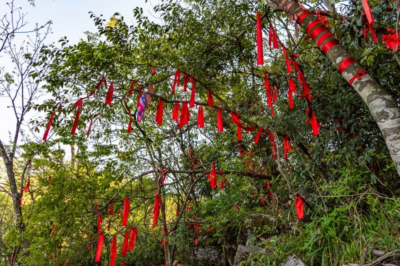 Make a wish as you tie a red ribbon to a tree at Tianmen Mountain