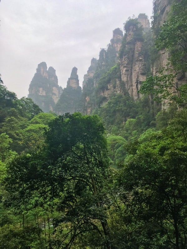 Walking along the canyon floor, looking up at the peaks of Zhangjiajie National Forest Park
