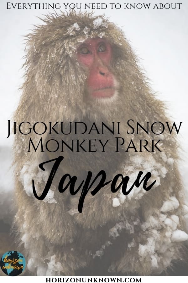Visiting beautiful monkeys in Japan is best done at Jigokudani, near Nagano! #japan #travel #jigokudani #yaenkoen #monkey #japanmonkey