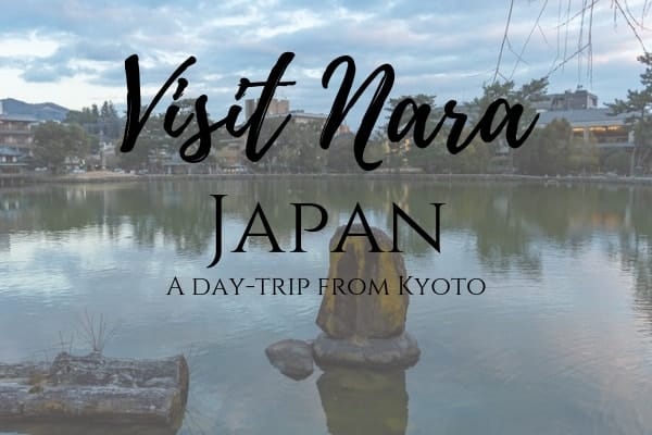 Why visiting NAara is a great day trip from Kyoto