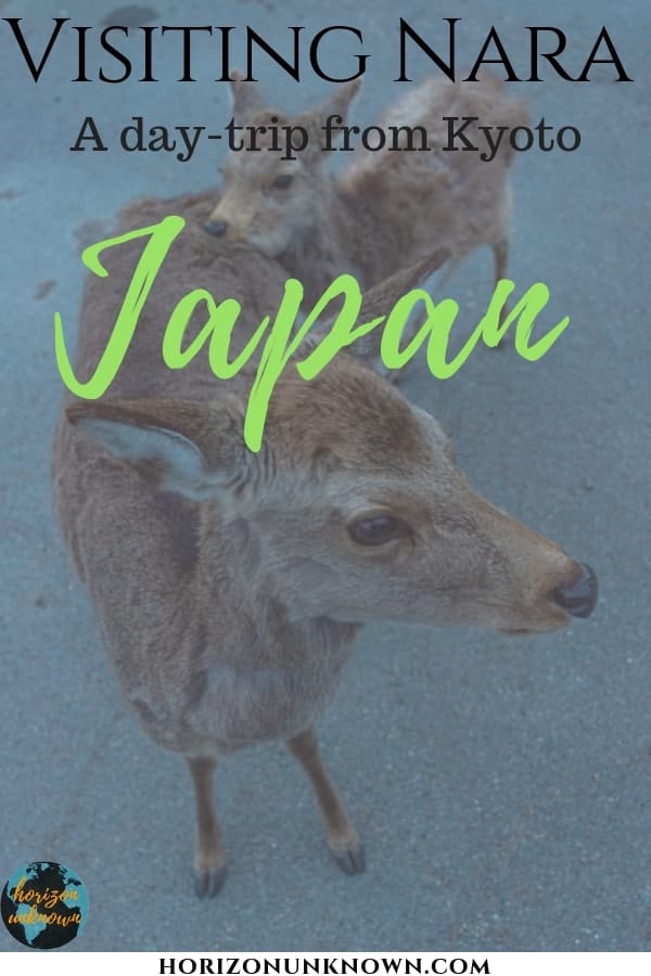 If you're visiting Nara in Japan, here's some places you shouldn't miss out on! #travel #japan #asia #nara