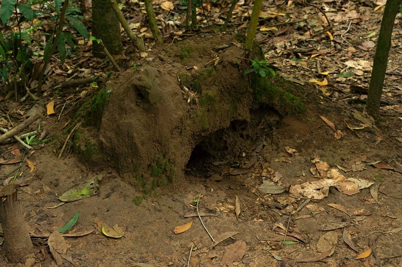 All up, Cu Chi Tunnels are around 250km long!