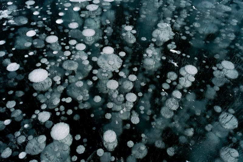 These methane bubbles are trapped in the frozen water of Abraham Lake, Nordegg, Alberta