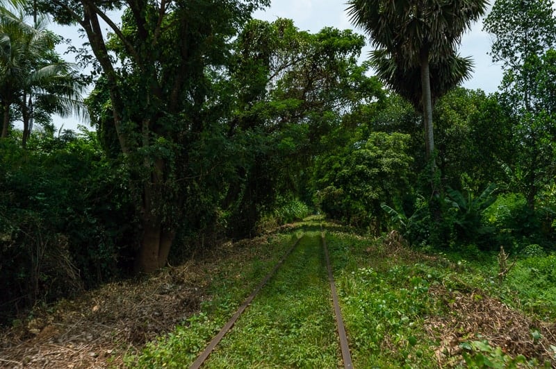 Overgrown sections of Battambang's old Bamboo Train made for a unique attraction in Cambodia