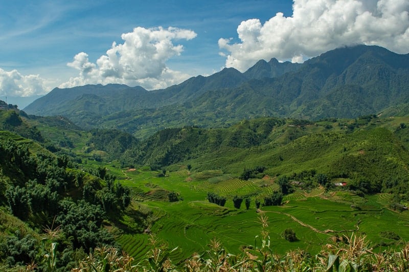 As you descend the windy road from SaPa, you are greeted to some beautiful vistas of green fields and rice paddys