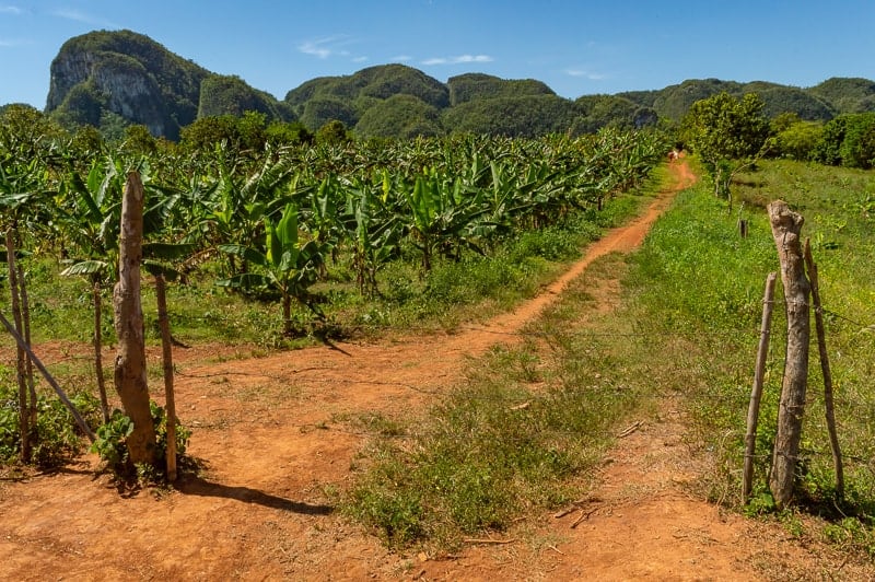 Bike through Vinales and many of these rural trails are quiet