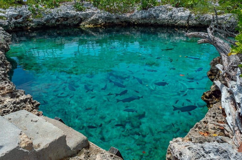 Caleta Buena also has a fresh water cenote to snorkel with fish and crabs