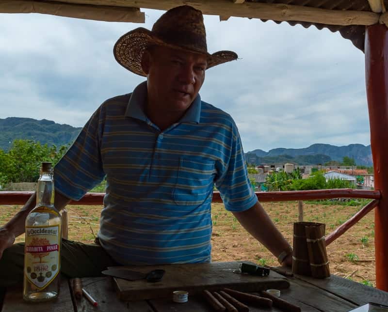 Tobacco farms are common near Vinales in Cuba