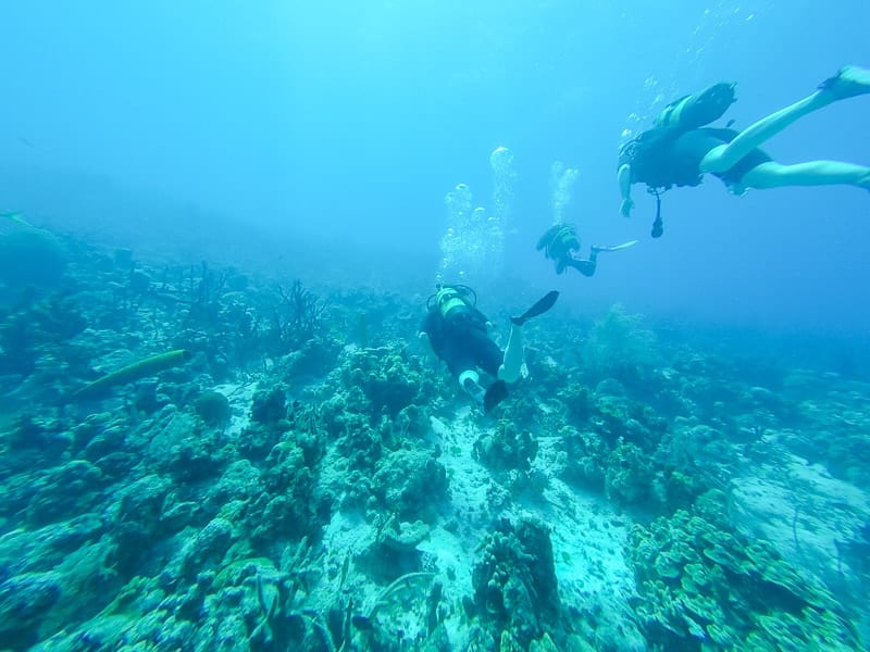 Do you need to be certified to scuba dive in Cuba?