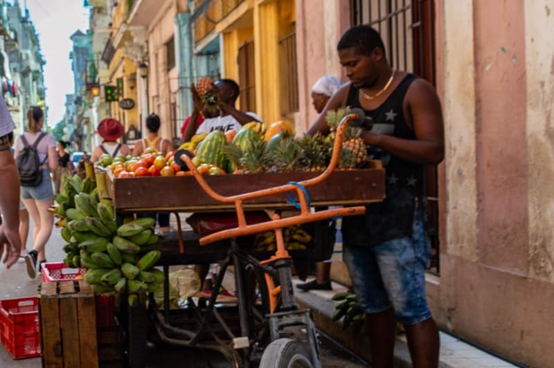 Mobile fruit stores on bicycles are common in central Havana