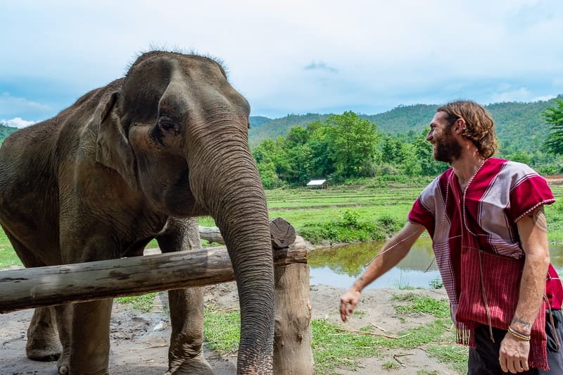 Why are ethical elephants Parks in Thailand so important?