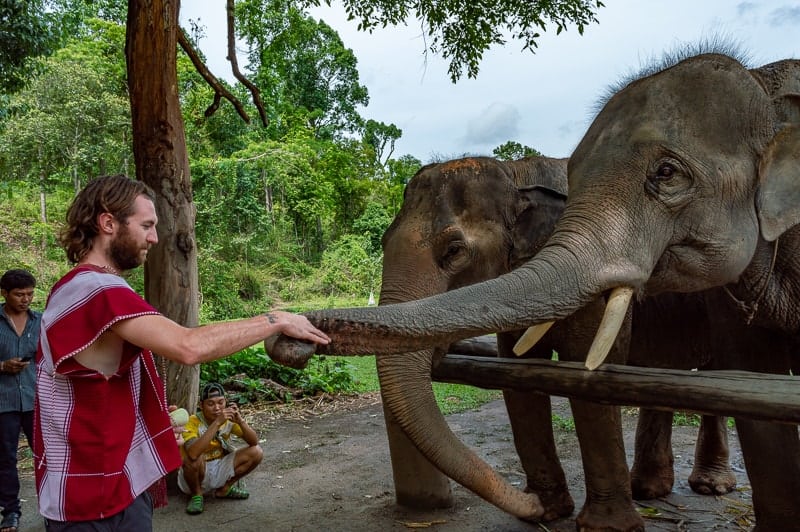 Booking the best and ethical tour with elephants in Thailand 