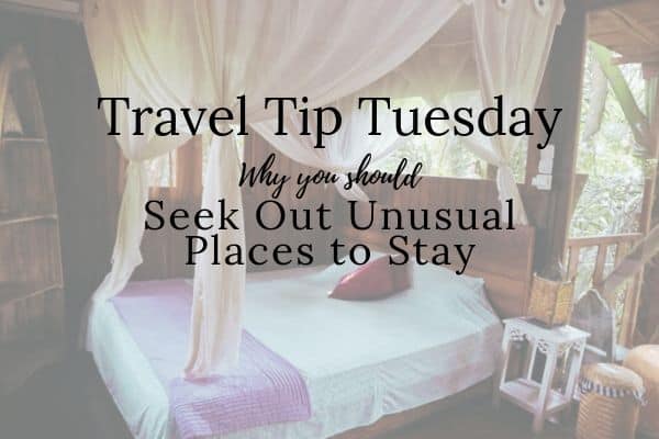 Travel Tip Tuesday Why seek out budget treehouse accommodation