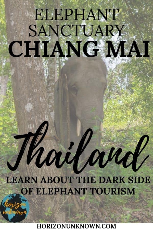 One of the best places in Thailand to see elephants - Chiang Mai Elephant Santuary 