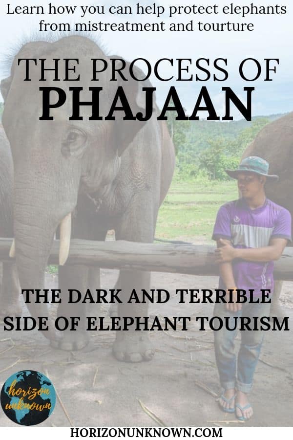 What is the dark side to elephant tourism in Thailand?