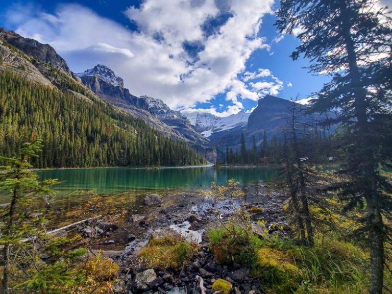 Guide To Hiking Lake O'Hara - Day vs Overnight Trip - BC, Canada