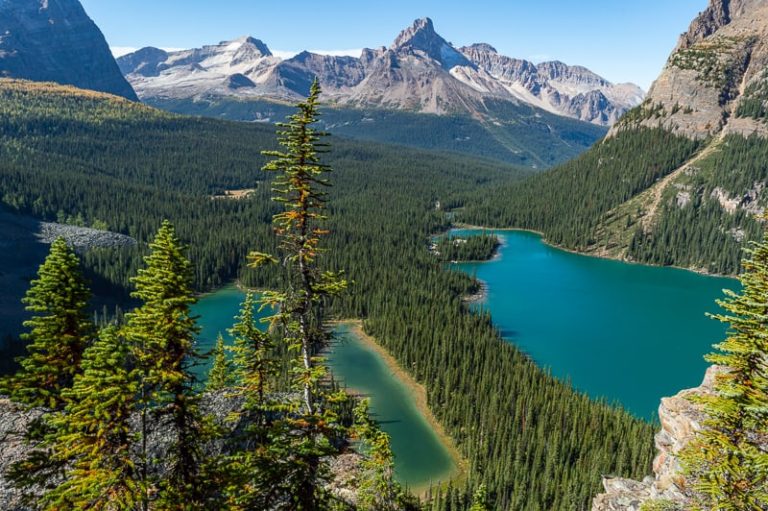 Guide To Hiking Lake O'Hara - Day vs Overnight Trip - BC, Canada