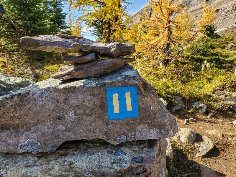 These trail markers are common around Lake O'Hara 
