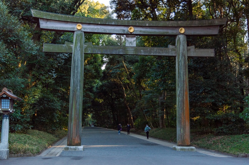 Meiji Jingu Shrine and Yoyoji Park 