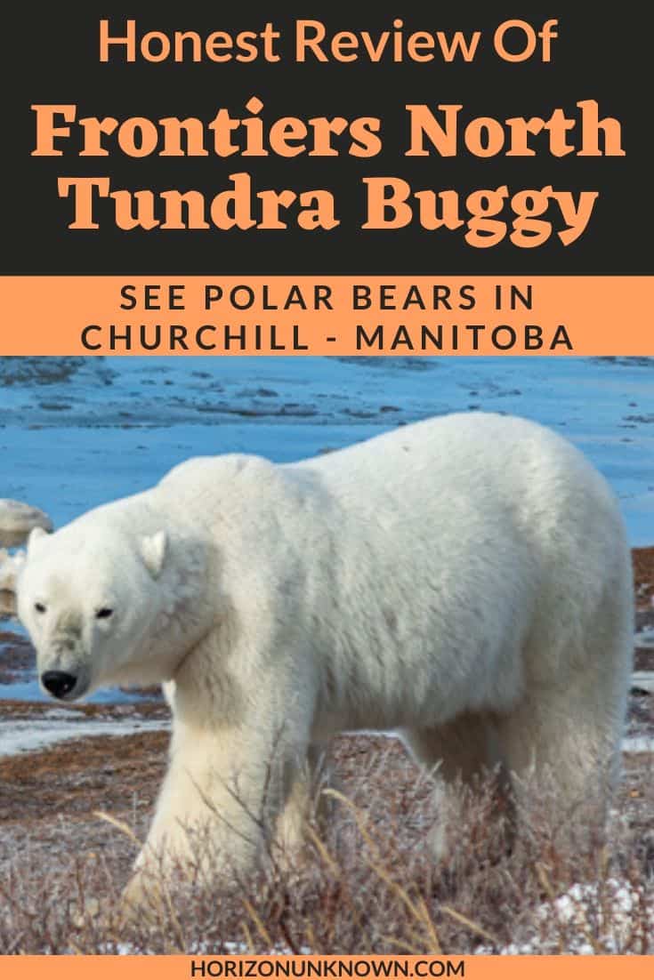 Honest review of the polar bear viewing tour from Churchill, Manitoba, by Frontiers North 