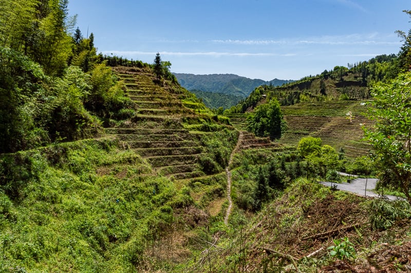 Jingkeng Red Yao Terraces - A scenic walk around rice paddy's in China 