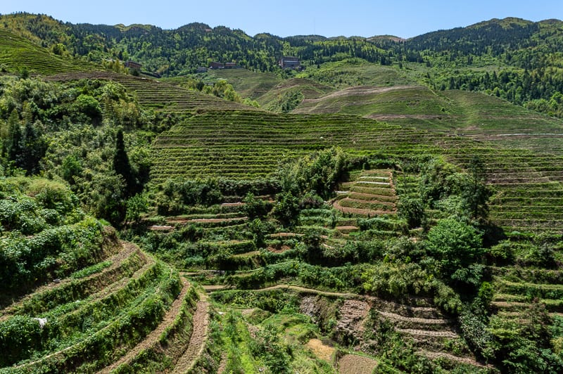 Where is Longsheng Rice Terraces in China