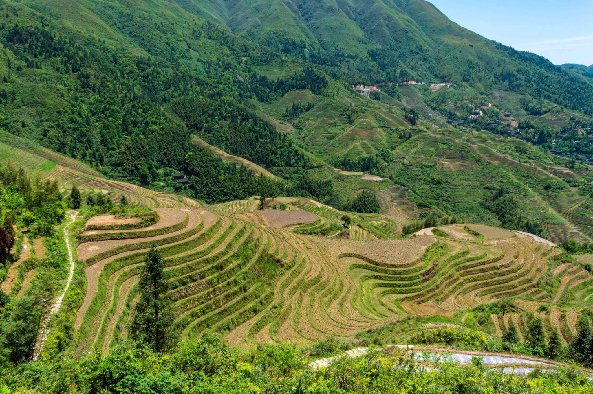Visiting Longsheng Rice Terraces in China 2 week itinerary
