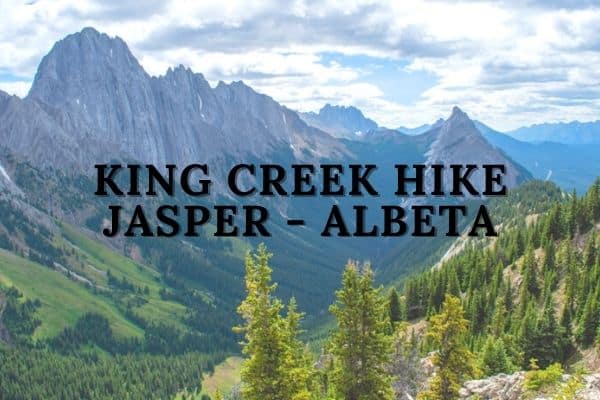 King Creek Ridge Hike in Jasper, Alberta